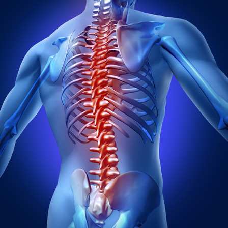 BEST FRACTUURE TREATMENT IN MODASA,BEST JOINT REPLECMENT SURGERY IN MODASA,ORTHOPAEDIC TRAUMA TREATMENT IN MODASA,BEST ORTHOPAEDIC  SURGEON IN MODASA,BEST GYNAEC TREATMENT IN MODASA,INFERTILITY SPECIALIST TREATMENT IN MODASA,FOETAL SONOGRAPHY EXPERT IN MODASA,IUI CENTRE IN MODASA,BEST ORTHOPAEDIC HOSPITAL IN MODASA,LAPAROSCOPY SURGERY IN MODASA